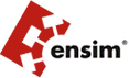 ensim graphical user domain and user interface